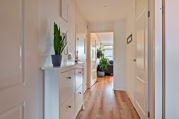 Medium property photo - 's-Gravesandestraat 106, 1091 DG Amsterdam